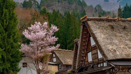 Fototapeta na wymiar Scenic view of historic villages of Shirakawa-go and Gokayama in Japan