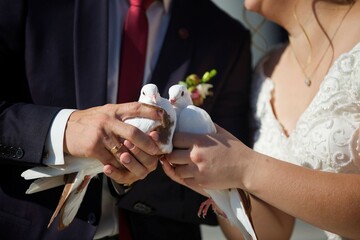 Two white doves in the hands of the bride and groom. It is a wedding tradition to release birds into the sky. A wedding or engagement.