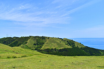 Obraz premium 宮崎 宮崎県 都井岬