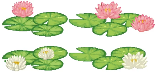 Foto auf Alu-Dibond Vector illustration of blooming water lilies and pads © GraphicsRF
