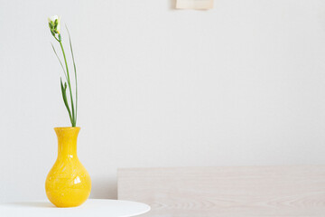黄色の花瓶に飾った一輪の白いフリージア