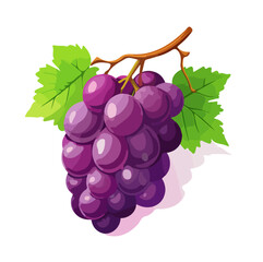 Grapes vector illustration, cartoon style, isolated on a white background.