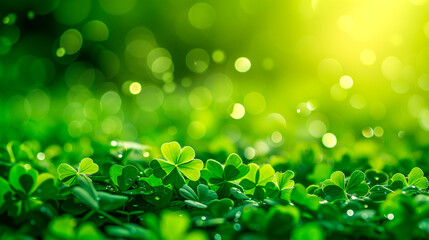 Clover and green grass. A concept for celebrating St. Patrick's Day.