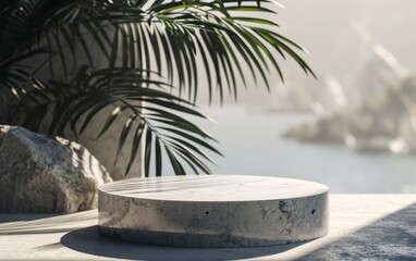 Grey podium round concrete pedestal display with rock and palm tree background