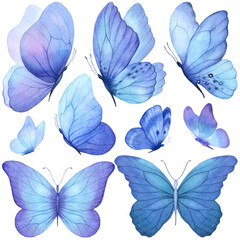 Butterfly watercolor illustration set. Colorful clipart. Violet purple blue butterfly. Baby shower design elements. Party invitation, birthday celebration. Spring or summer decoration