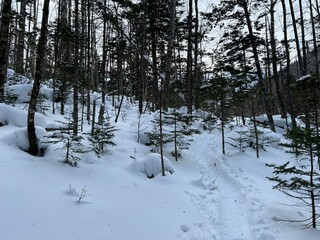 Lake Shikaribetsu is located in Tokachi subprefecture, Eastern Hokkaido, Japan. It’s hidden up deep in the Daisetsuzan mountains in the middle of the Shikaribetsu volcanic group at an elevation of 810