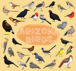 Birds Arizona Set Vector Illustration