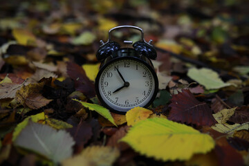 alarm clock on autumn leaves on natural background