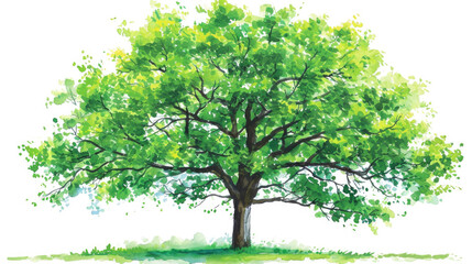 Fototapeta na wymiar Beautiful watercolor painting of tree with vibrant green leaves. Perfect for adding touch of nature to any project or design