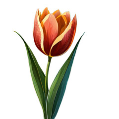 Fototapeta premium 튤립