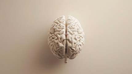 Human Brain on Neutral Background