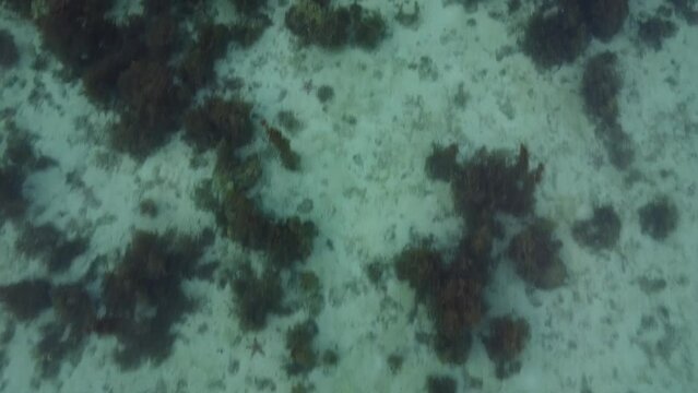 Bantayan Island, Cebu, Philippines Drone Footage Tropical Paradise