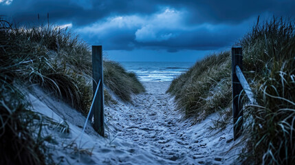 Path leading to beach on cloudy day. Ideal for travel and nature-themed projects
