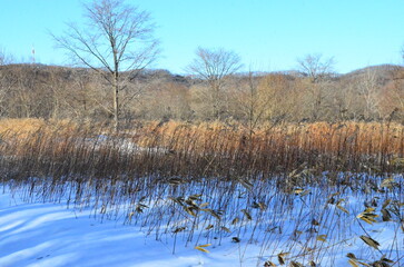 Obihiro in Tokachi, with its magnificent scenery in Hokkaido Japan, has endless fun such as tasting the pleasures of the earth, mall hot springs, which is rare anywhere in the world, and outdoor sport