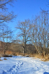 Obihiro in Tokachi, with its magnificent scenery in Hokkaido Japan, has endless fun such as tasting the pleasures of the earth, mall hot springs, which is rare anywhere in the world, and outdoor sport