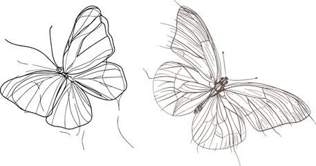 Butterfly flies by hand one line drawing