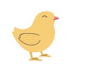 Hand drawn cute standing small yellow Chick. Flat vector spring Easter design in colored Doodle style. Kawaii Chicken bird nestling icon or print. Isolated on background