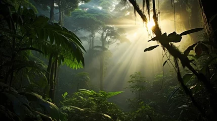 Crédence de cuisine en plexiglas Matin avec brouillard Generative AI image of a Costa Rica nature and forest tree and plants