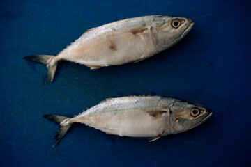 Macquerel fish on a blue cutting board