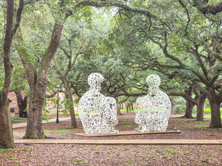Rice University