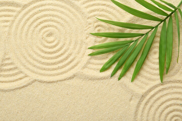Zen rock garden. Circle patterns and green leaf on beige sand, top view