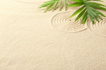 Fototapeta na wymiar Zen rock garden. Circle patterns and green leaves on beige sand