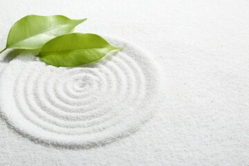 Zen rock garden. Circle pattern and green leaves on white sand