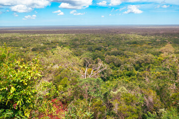 Naklejka premium Aerial view of Arabuko Sosoke forest seen from Nyari View Point in Malindi, Kenya