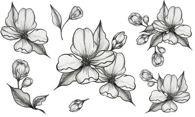 Original set of flowers in a monochrome style in black and white for decoration, textiles, postcard and wall design - obrazy, fototapety, plakaty