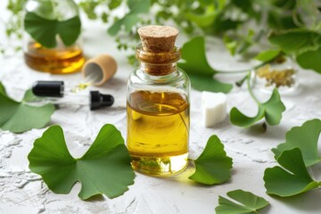 Maidenhair, ginkgo biloba leaves and extract for brain, memory. Healing plant Chinese medicine - obrazy, fototapety, plakaty