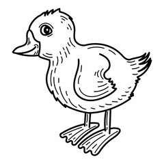 Coloring page little duckling sketch. Cute animal. Hand drawn vector illustration.