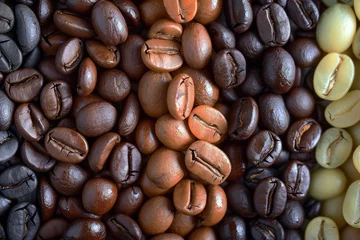 Crédence de cuisine en verre imprimé Chocolat brun The Regional Characteristics of Coffee Beans.