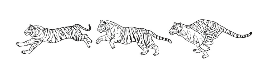 Line art drawing tiger illustration. tigers line art vector illustrations for designers and other creative use. tiger tattoo design wild animal illustration vector. Run and jump tiger.