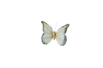 Artificial toy butterfly. Isolate on white. PNG file