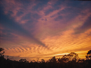 sunset over the field