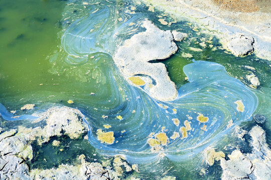 Dead-water, uninhabitable. Hypersalted lake (60 ppm), stagnant basin where dead algae, cyanobacteriae bacterial film, murky hydrogen sulfide water and salt hardness deposition. Salt and gypsum crust