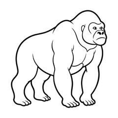 Gorilla vector illustration on white