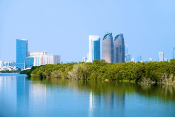 Fototapeta premium Mangroves in the Persian Gulf. United Arab Emirates. Against the backdrop of the skyscrapers of Abu Dhabi