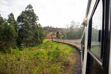 A  train passing through the countryside