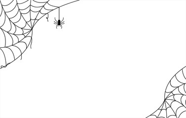 spider web transparent background