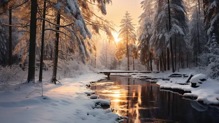 Deurstickers winter landscape © Cedar
