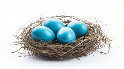 Fototapeta na wymiar Nest with blue eggs