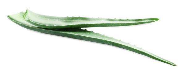 Green aloe vera leaves isolated on white