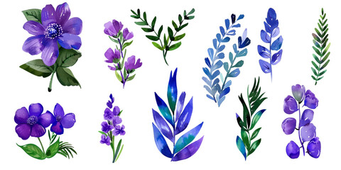 Set of purple flowers in watercolor style on white background.