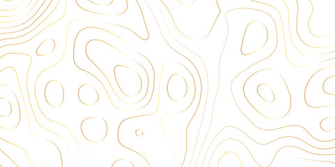 Abstract background of the topographic contours map with geographic golden line map design .Modern design with white background wavy pattern design. Background for desktop, topology, digital art .