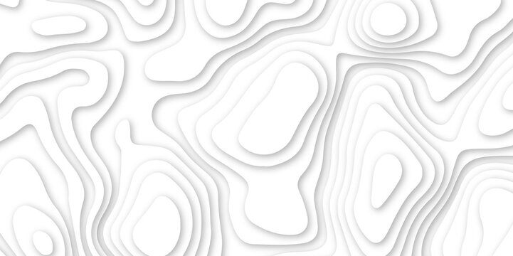 Abstract white wavy line 3d paper cut white background. abstract white background with smooth wavy layers. silver grid map line topography mount contour map .