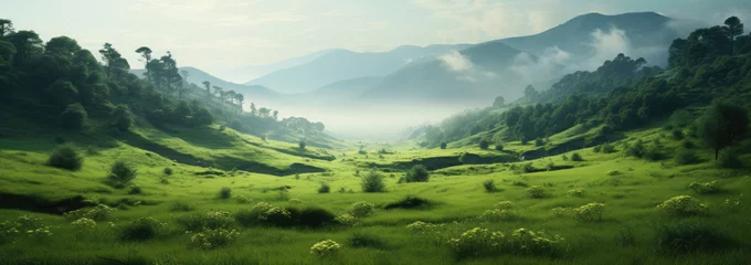Rollo a wide expanse of lush green grassland landscape meadow with clear skies, clouds, and mountains in the distance created with Generative AI Technology © AstraNova