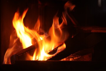 Bonfire with burning firewood on dark background