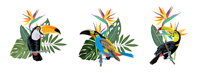 Fototapeta premium Set of Tropical compositions with exotic leaves, flowers and toucans. Tucan bird sitting on the branch. Colorful vector illustrations isolated on transparent background. PNG. Sticker.