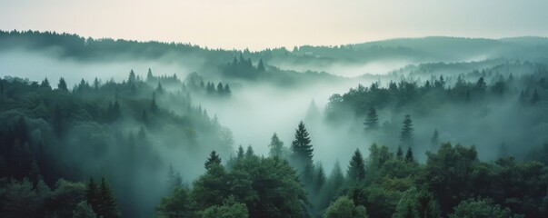 Obraz na płótnie Canvas Misty landscape with fir forest landscape background, Generative AI